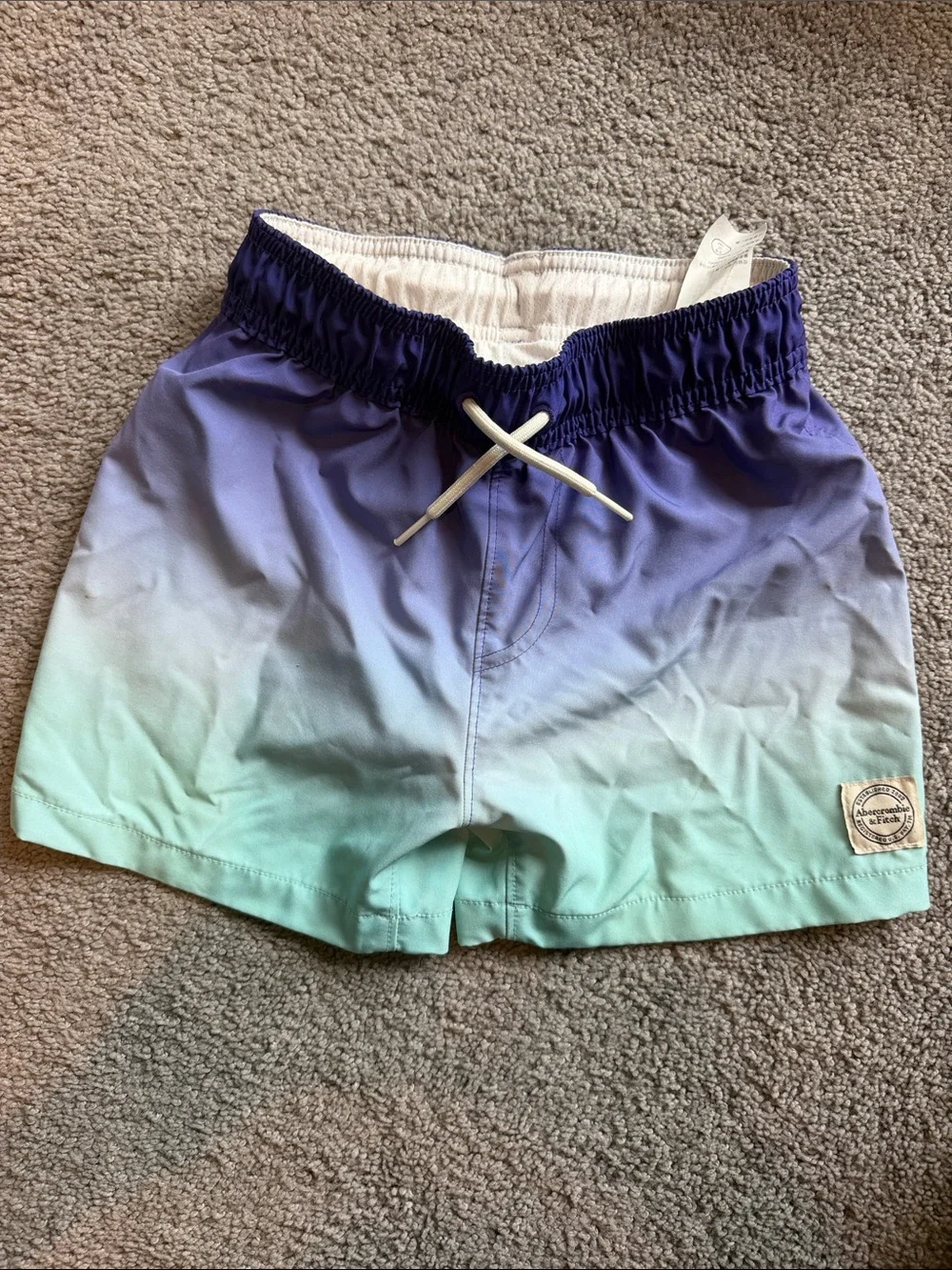abercrombie kids Purple-to-Mint Ombre Swim Shorts